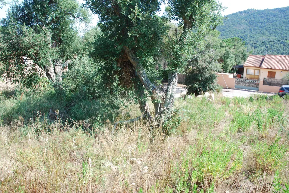 Parcela en venta - Calonge - Mas Pere