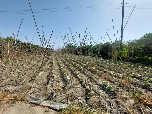 Terreno Rústico en venta - Motril pueblo