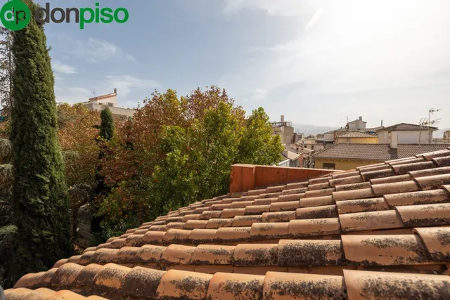 CASA EN PLAZA DE LOS LOBOS — 20