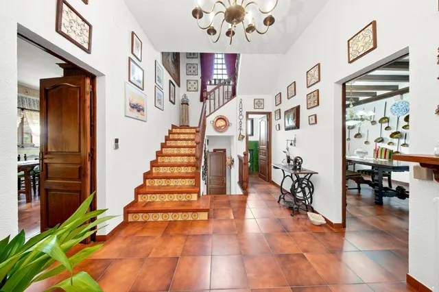 Finca Rustica en venta — 50