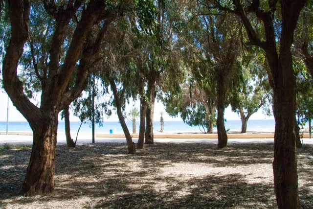 Ático dúplex en Urbanización a 100 metros del mar. — 10