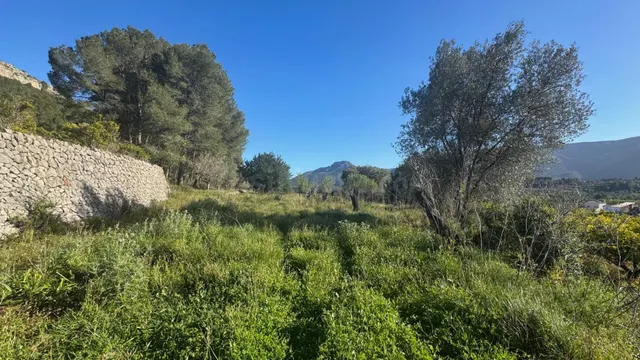 Parcela rústica edificable en entorno natural privilegiado — 4