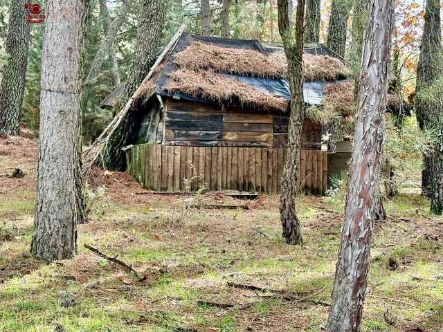 Cabaña de 75m2 rodeada de un precioso bosque en terreno urbano no consolidado de 10.117m2. — 17