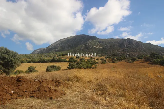 Finca rústica de 37.570 m² en Casares, Costa del Sol — 11