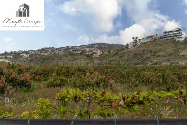 Finca con unas vistas de ensueño en Salobreña - foto 5