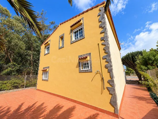 FINCA RÚSTICA CON VIVIENDA EN EL PALMITAL, STA. MARÍA DE GUÍA — 3