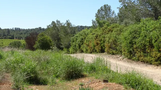 Terreno en venta en Vilamarxant — 14