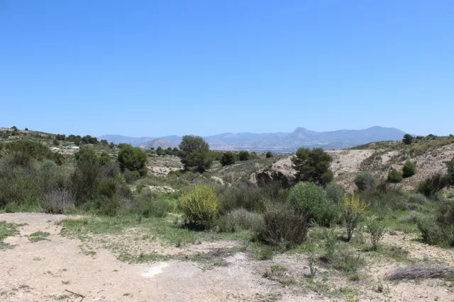 Se vende casa-cueva en Monovar con 2000 metros de terreno!!! — 13