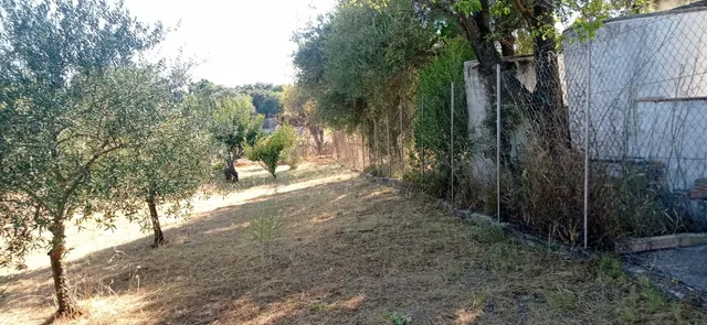 VENTA PARCELA CON CASA - foto 5