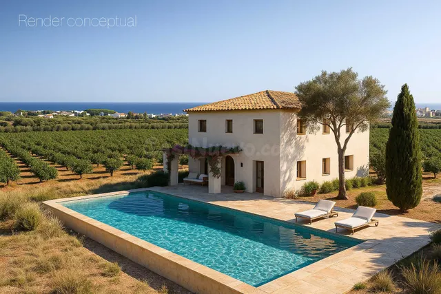 Villa 470m² en venta - El Palmar-Los Molinos - foto 2