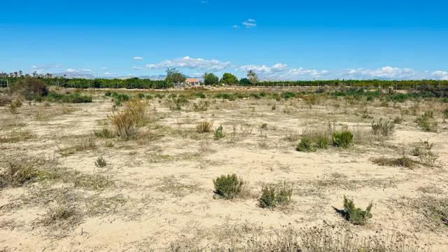 Terreno de 12.000 m2 en Perleta. — 24