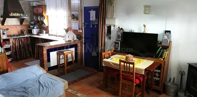Finca rústica en venta en Villanueva del Río y Minas – 5 hec - foto 3