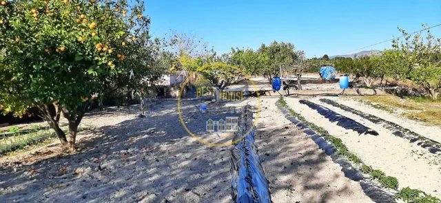 CASITA CON TERRENO EN ALBAIDA — 4