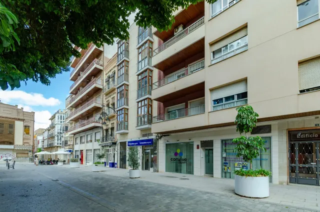 Apartamento 1 habitación 58m² en alquiler - Casco Antiguo — 18