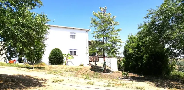 Finca rústica en venta en Villanueva del Río y Minas – 5 hec