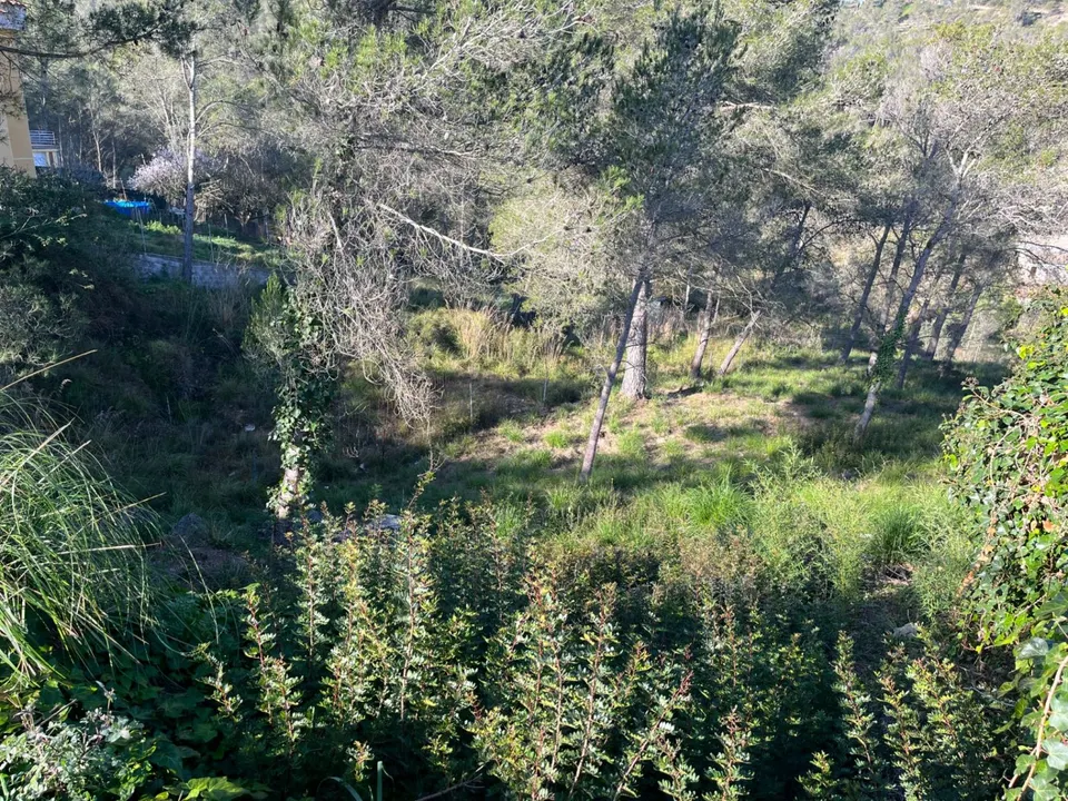 Terreno en venta en Canyelles- Vora sitges