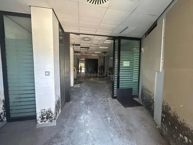 Locales en Vejer de la Frontera (Cádiz) — 5