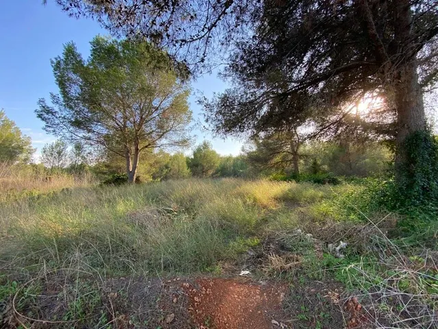 OPORTUNIDAD ENORME TERRENO EN VENTA POR 150.000€ — 21