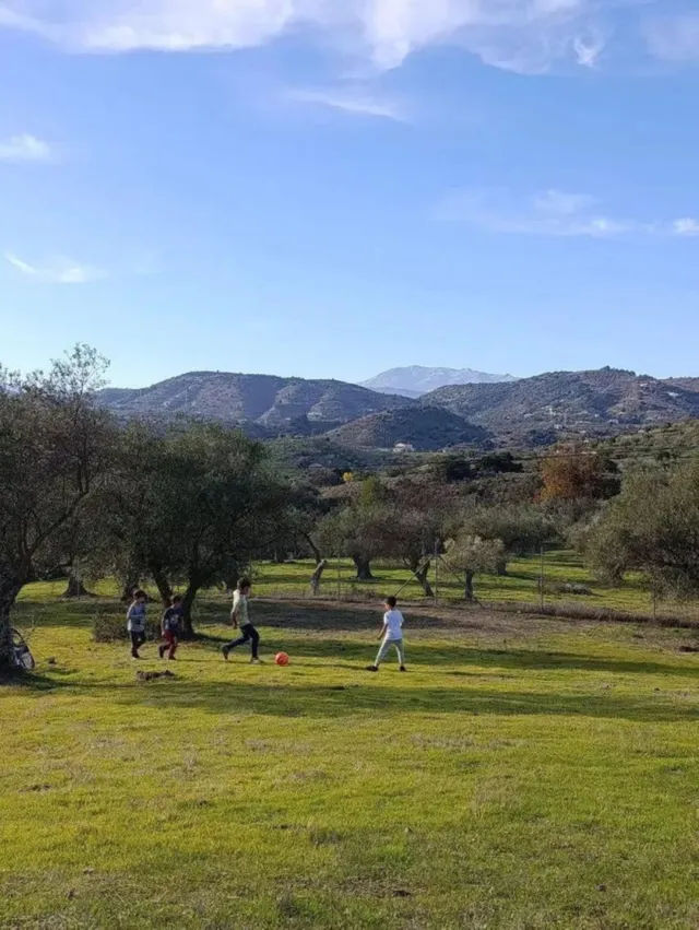Finca olivar en Monda con vistas al pueblo y naturaleza — 7