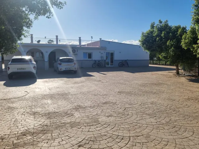 Finca rustica el pintado, Gibraleón — 45