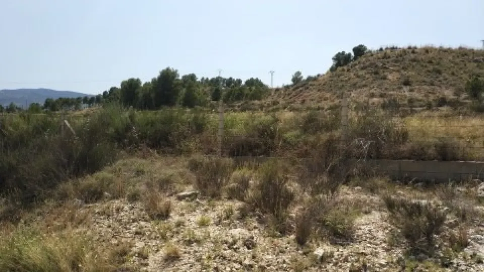 Parcela terreno 10.000