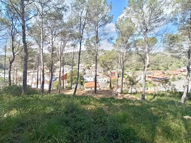 ¡¡Gran ocasión!! Parcela soleada con vistas — 6