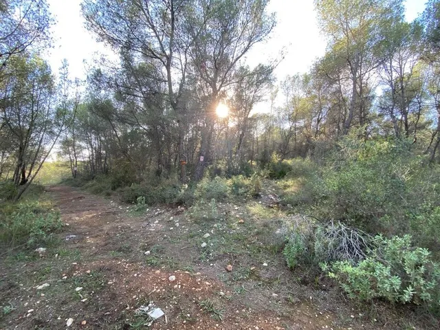 OPORTUNIDAD ENORME TERRENO EN VENTA POR 150.000€ — 24