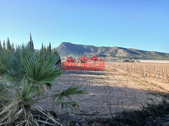 ¡¡ MAGNÍFICA PARCELA EN ASPE, 12.000 m2 !! — 4