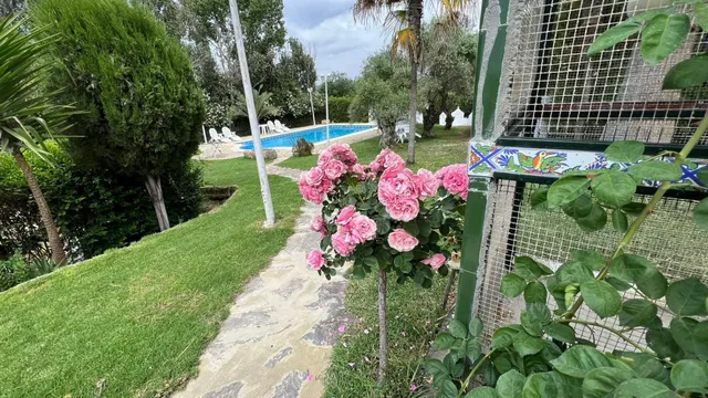 VENTA CASA CON TERRENO, PISICINA Y RESTAURANTE. — 26