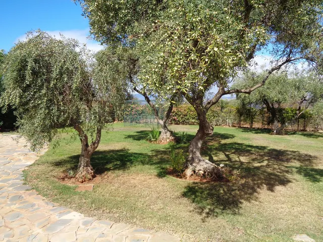 Chalet 4 habitaciones 350m² en venta - Costa del Sol — 23
