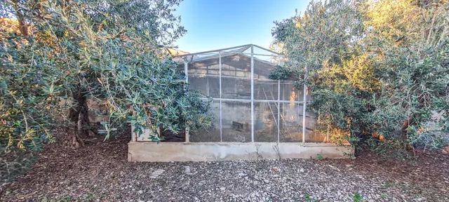Chalet unifamiliar con árboles frutales en Urb. es Pinaret, Marratxí — 14