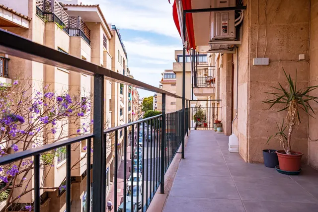 APARTAMENTO EN JAUME III EN ALQUILER TEMPORAL — 2