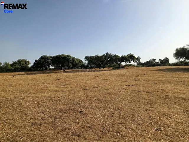 Finca Rústica de Recreo de 20 Hectáreas a 2 km de Alburquerq - foto 2