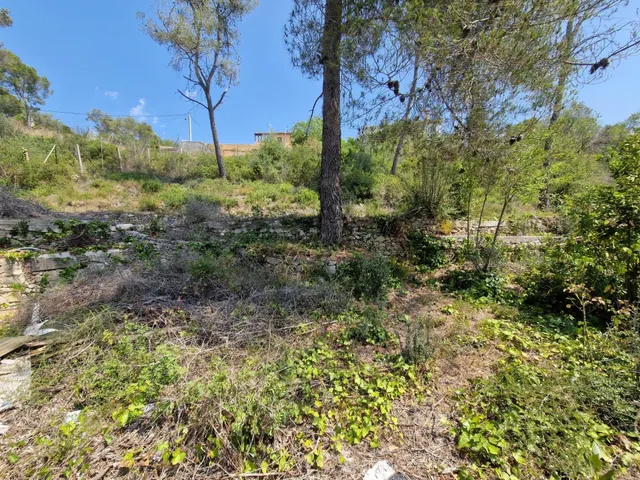 TERRENO EN CAN SURIA — 6