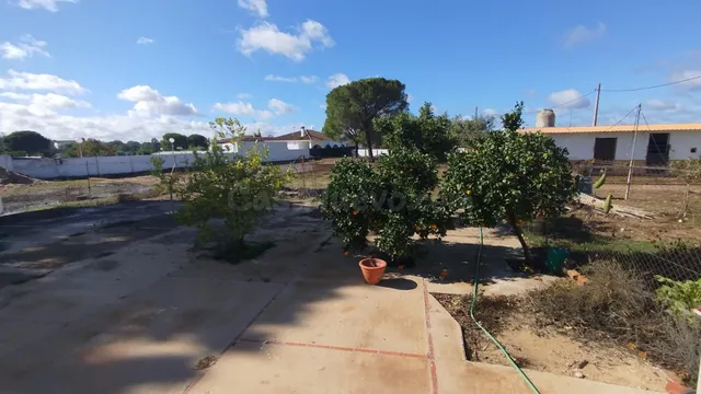 Exclusiva casa de campo en Beas, zona de "Parralejo". - foto 3