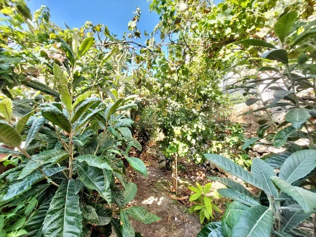 Casa en venta — 16