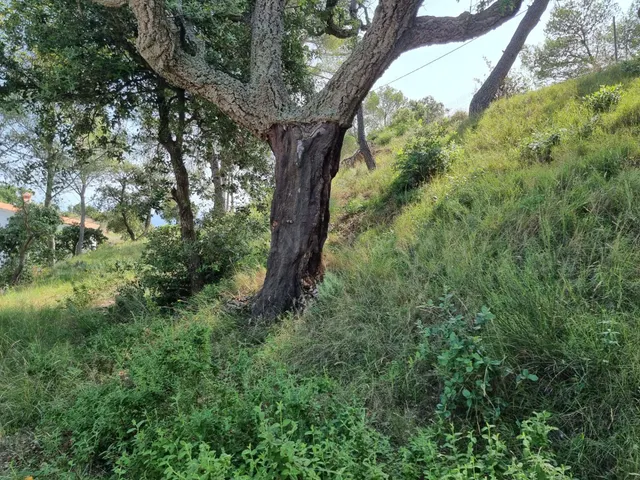 Parcela en Tossa de mar - foto 4