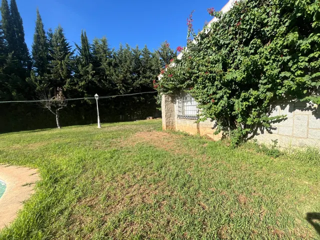 GRAN CHOLLO-FINCA URBANA DE 2600 METROS CON GRAN CHALET , DOS  VIVIENDAS,  TRASTERO Y PISCINA — 23