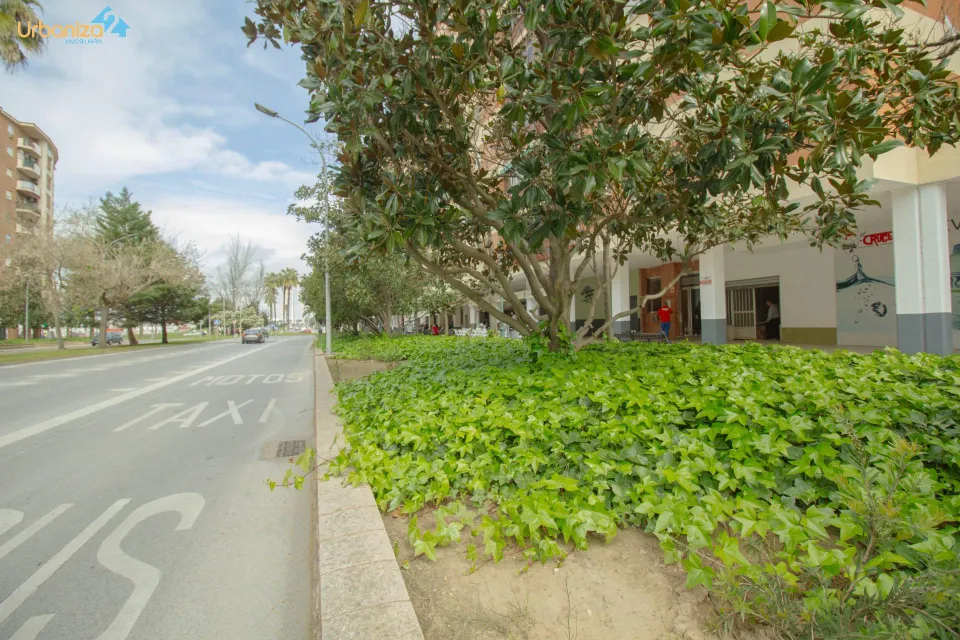 SE VENDE LOCAL COMERCIAL EN SINFORIANO MADROÑERO. inversión segura!!