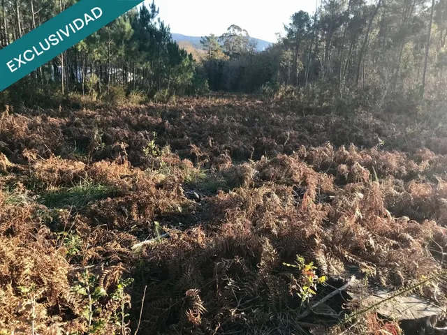 Terreno edificable en A Toxeira - foto 3