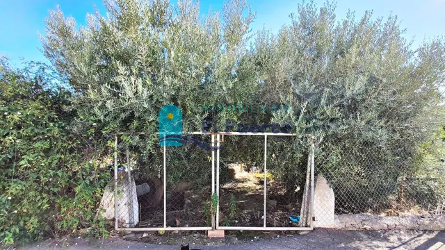 CASA DE CAMPO EN LOS CÁNOVAS PARA REFORMAR – REF. 2115 — 28