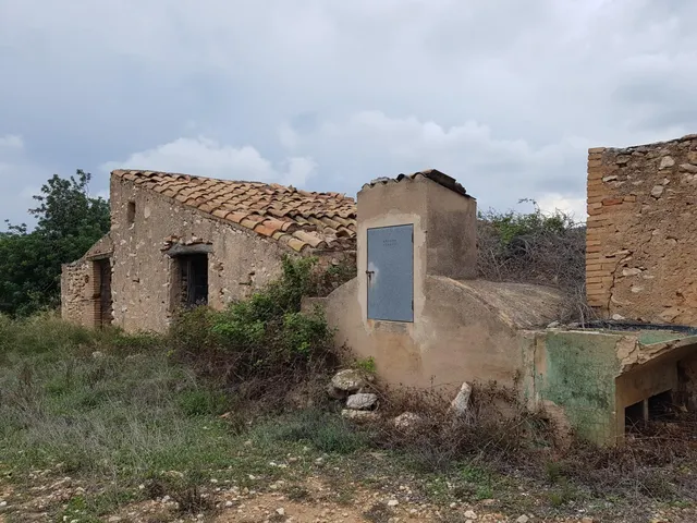 Finca Rústica de 6,5 hectáreas, plana, con casa de campo de 150 M2 — 8