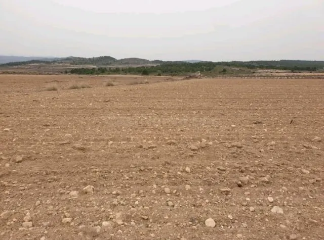 Parcela 840m² en venta - Comunidad valenciana - foto 2