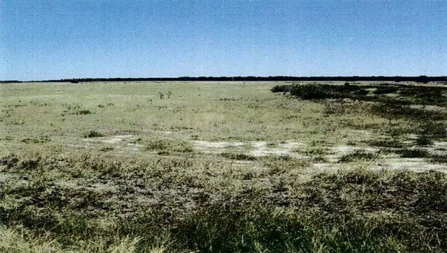 Venta de Nuda Propiedad: Suelo Rústico en La Zarza, Valladol - foto 5