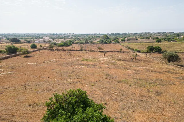 Finca rústica para construir en la carretera de s'Illot - Portocristo — 7