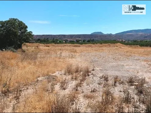 Venta de parcela de 8.364m2 en Albelda de Iregua (La Rioja) - foto 2