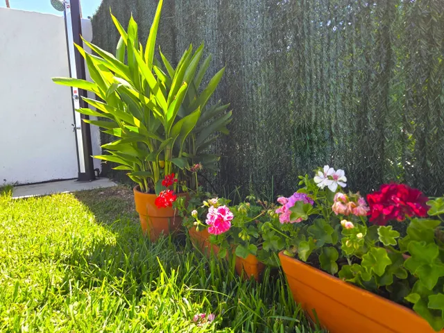 En alquiler estupendo bungalow con amplio jardin y mucha luminosidad — 30