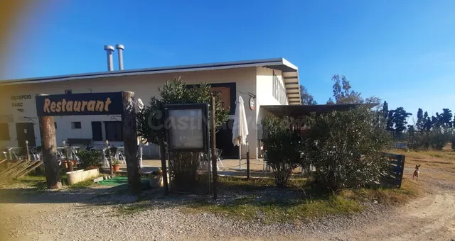 15 HA CON CASA, RESTAURANTE Y NAVE AL LADO DEL RÍO EBRO - foto 5