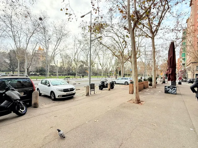 Local Comercial en venta frente al Parc de la Ciutadella. — 21