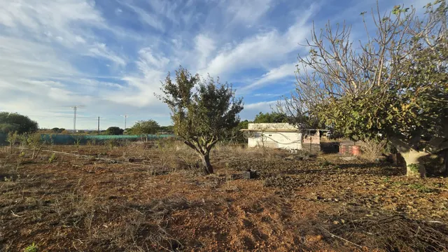 PARCELA -SEGREGADA CON REFUGIO EN ZONA PINAR DE LOS FRANCESES — 12